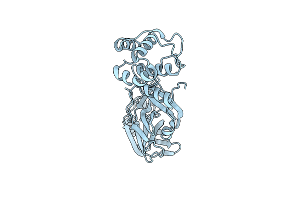 9BNV image