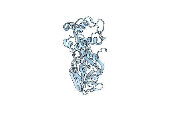 9BNY image