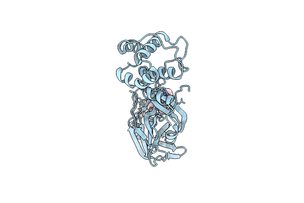 9BOD image