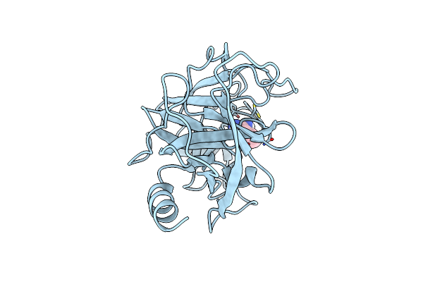 9BOK image