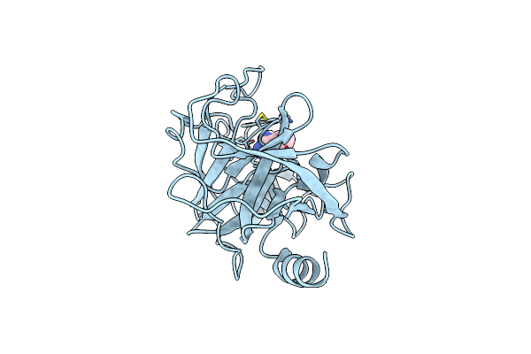9BOM image