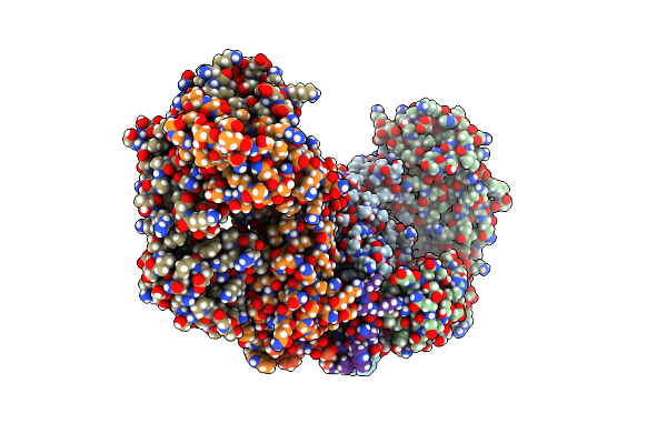 9BP1 image