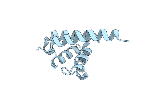 9BP2 image