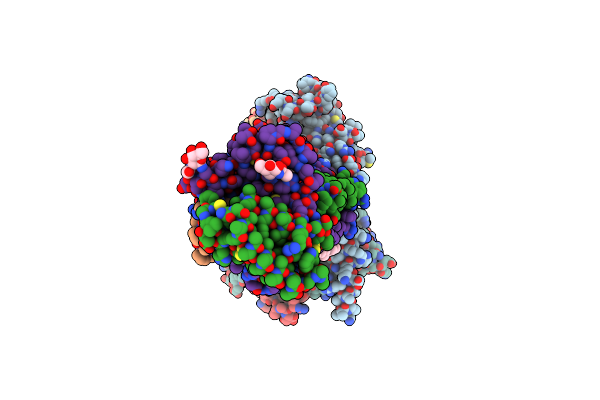 9BP3 image