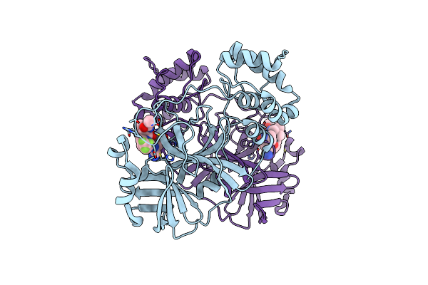 9BPF image