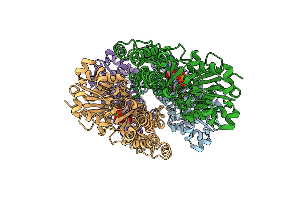 9BPH image