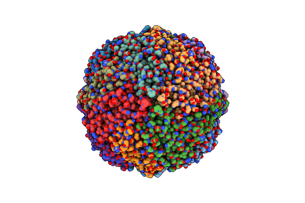 9BPI image