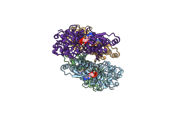 9BPM image