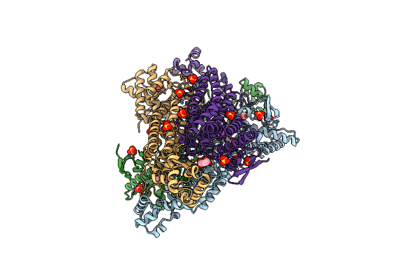 9BPW image