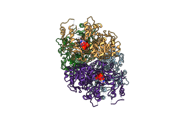 9BQ0 image