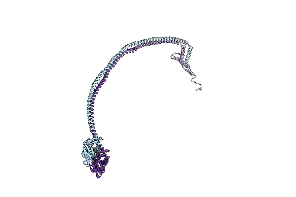 9BQ2 image