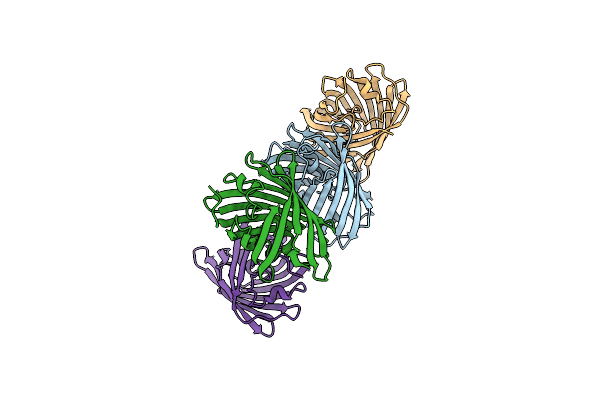 9BQ4 image