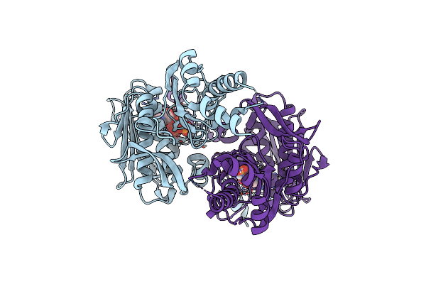9BQ6 image
