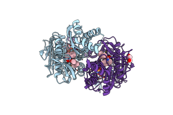 9BQ7 image
