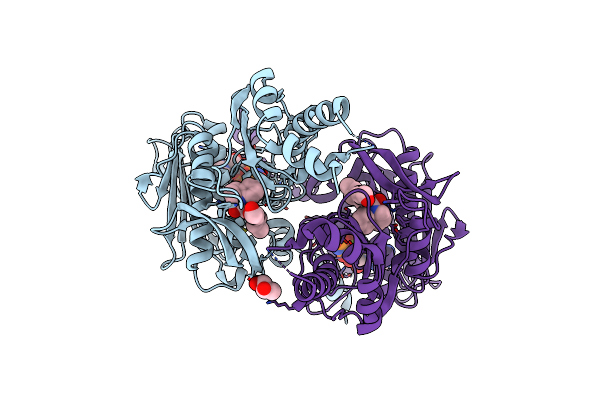 9BQ9 image