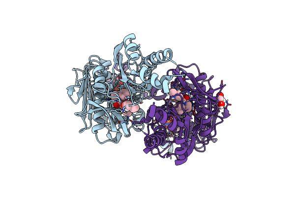 9BQB image