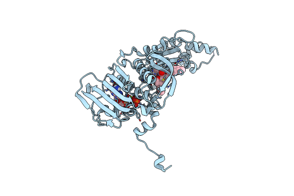 9BQD image