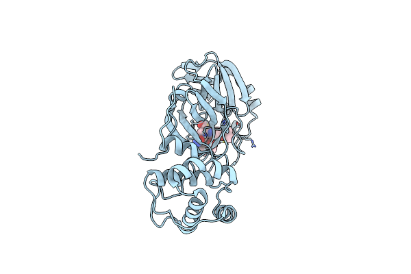 9BQG image