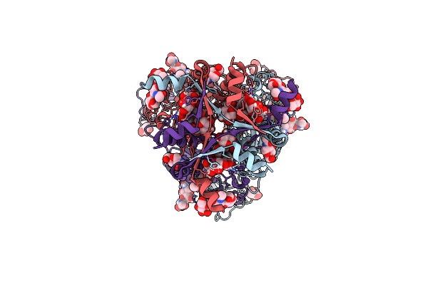 9BQH image