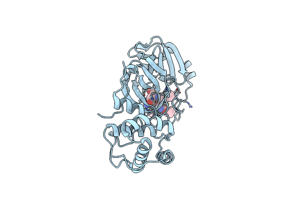 9BQL image