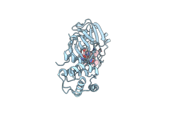 9BQM image