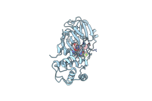 9BQN image