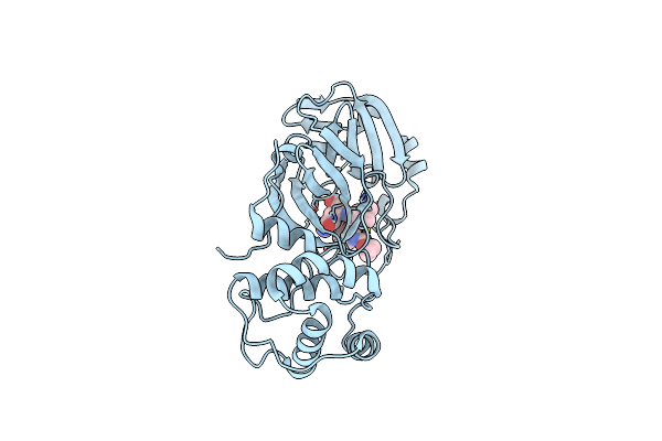 9BQP image