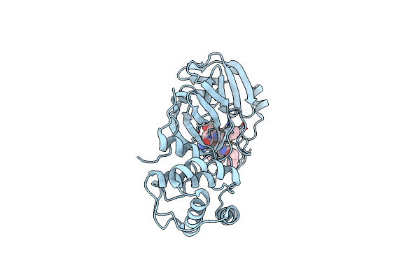 9BQQ image