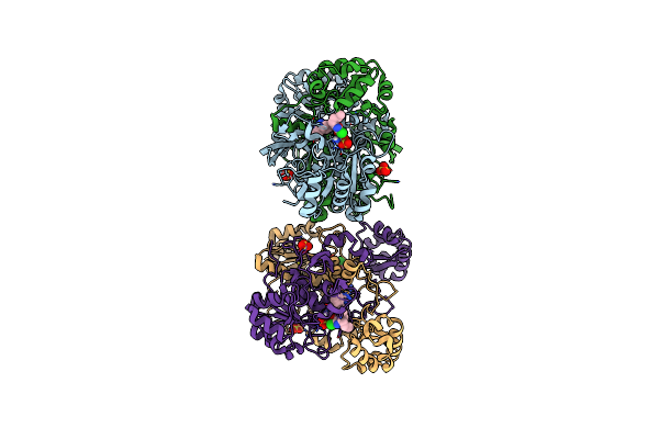 9BR7 image