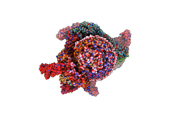 9BRD image