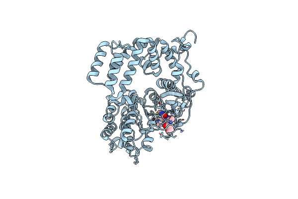 9BRG image