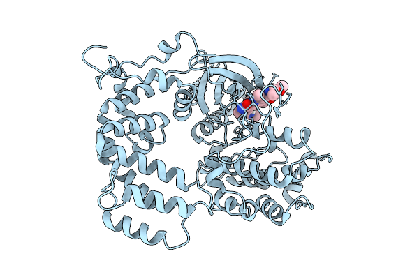9BRP image