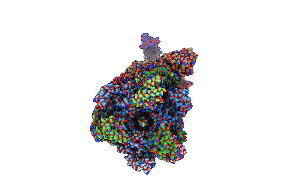 9BRQ image