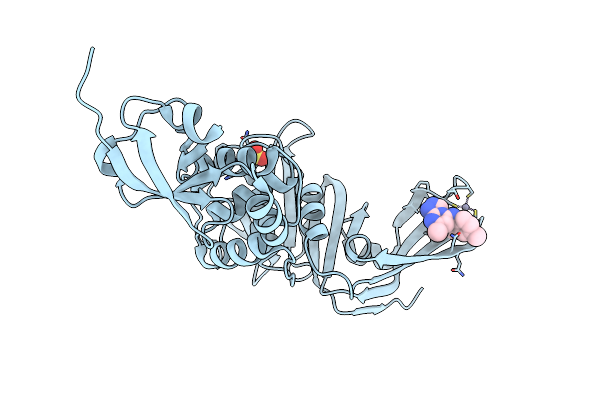 9BRX image
