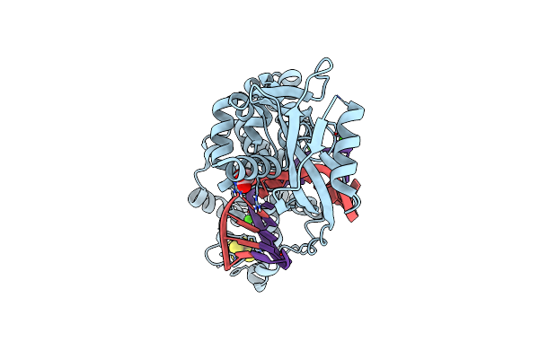 9BS2 image