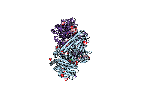 9BS5 image