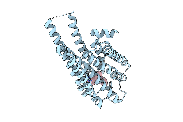 9BS9 image