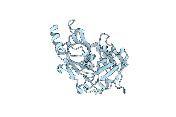 9BSM image