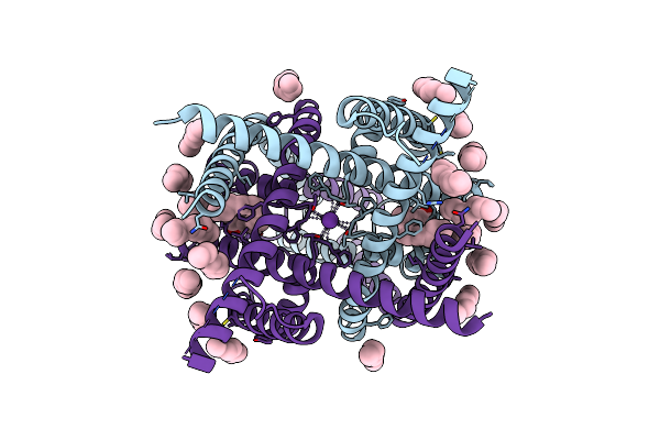 9BSN image
