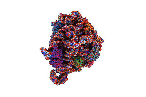 9BSS image