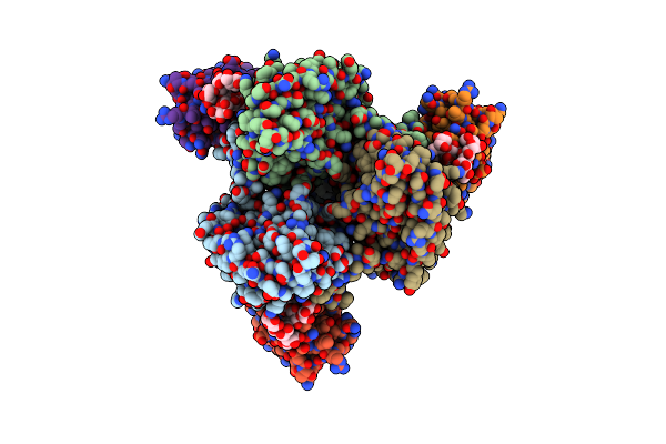 9BSV image