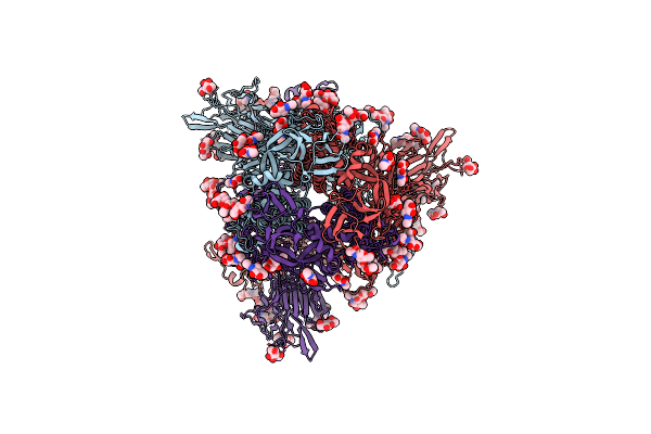 9BSW image