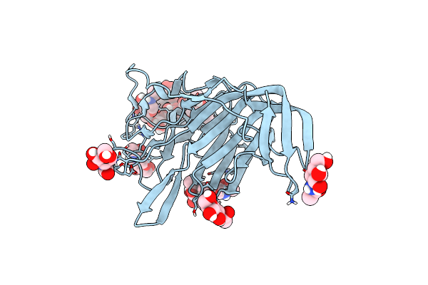 9BT2 image