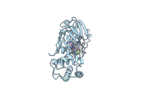 9BTF image