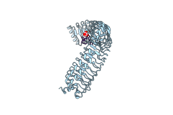 9BTN image