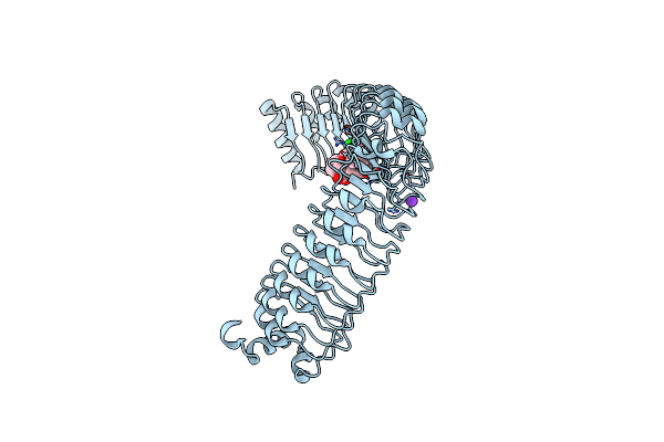 9BTP image