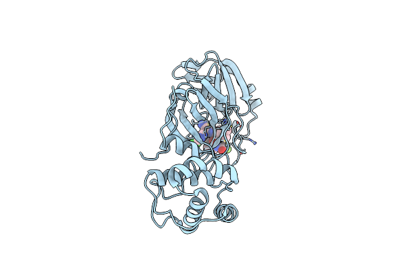 9BTT image