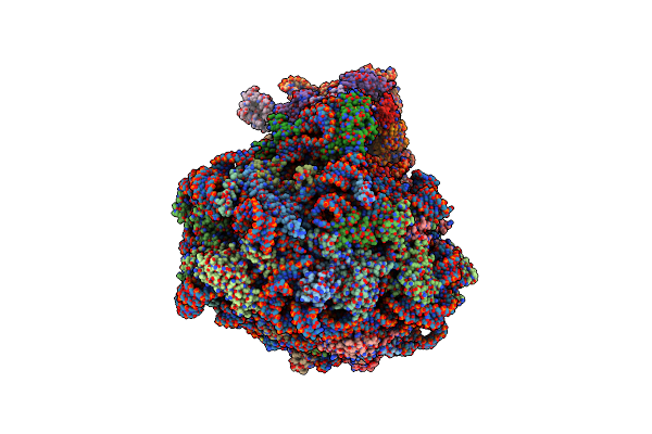 9BUP image