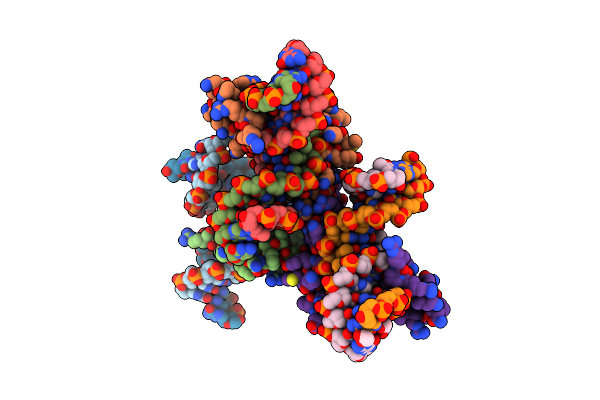 9BVD image