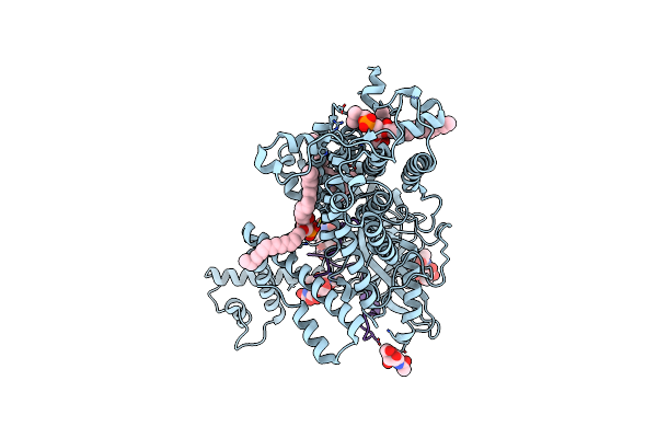 9BVP image